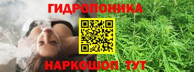 соль ск Партизанск