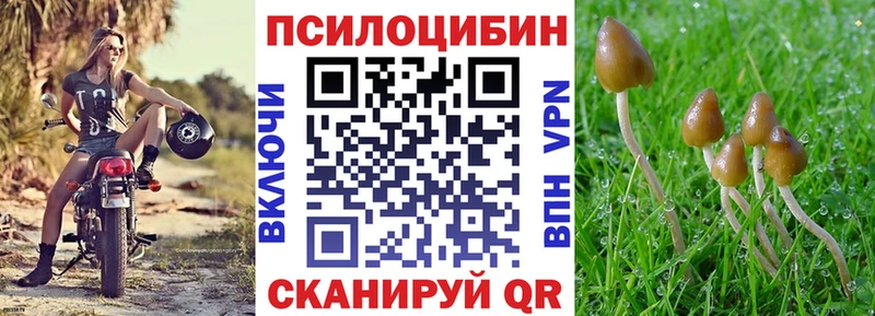 Галлюциногенные грибы MAGIC MUSHROOMS  blacksprut вход  Рыбинск 